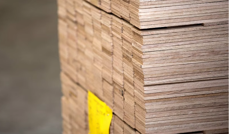 Procurement manager comparing MDF samples with caliper, evaluating thickness consistency for bulk order